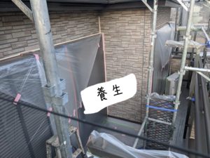養生