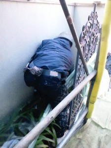 立ち上がれ山田俊介