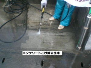 CIMG2425 CIMG2425.jpg
