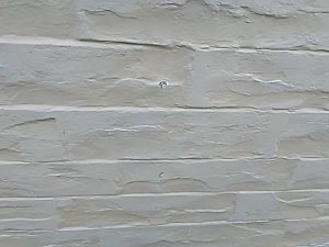 1568012108357.jpg