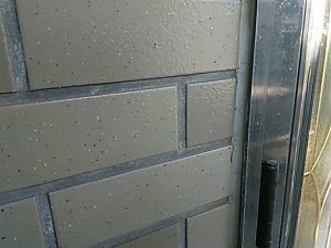 1576288020338.jpg
