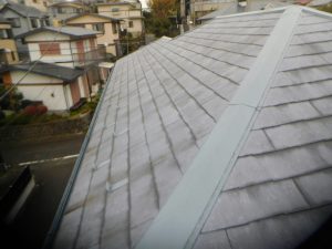 DSCN7842.JPG
