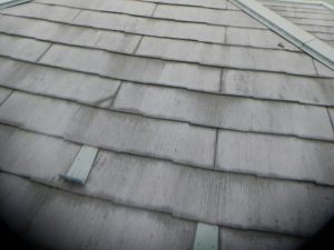 DSCN7847.JPG