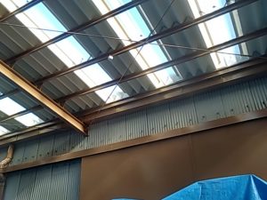 IMG_20191130_115425.jpg
