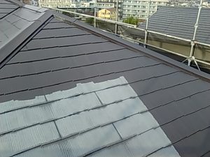 IMG_20191210_143750.jpg