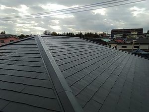 IMG_20191213_134231.jpg