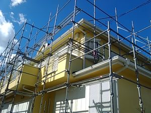 IMG_20200218_123534.jpg