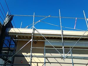 IMG_20200227_135022.jpg