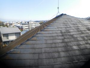 DSCN7988.JPG