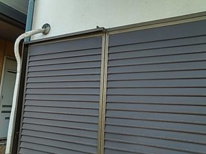 IMG_20200229_111542.jpg