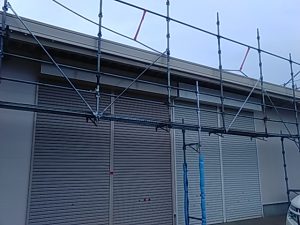 IMG_20200229_170659.jpg