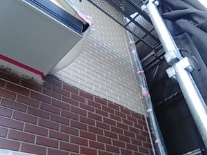 IMG_20200317_171117.jpg